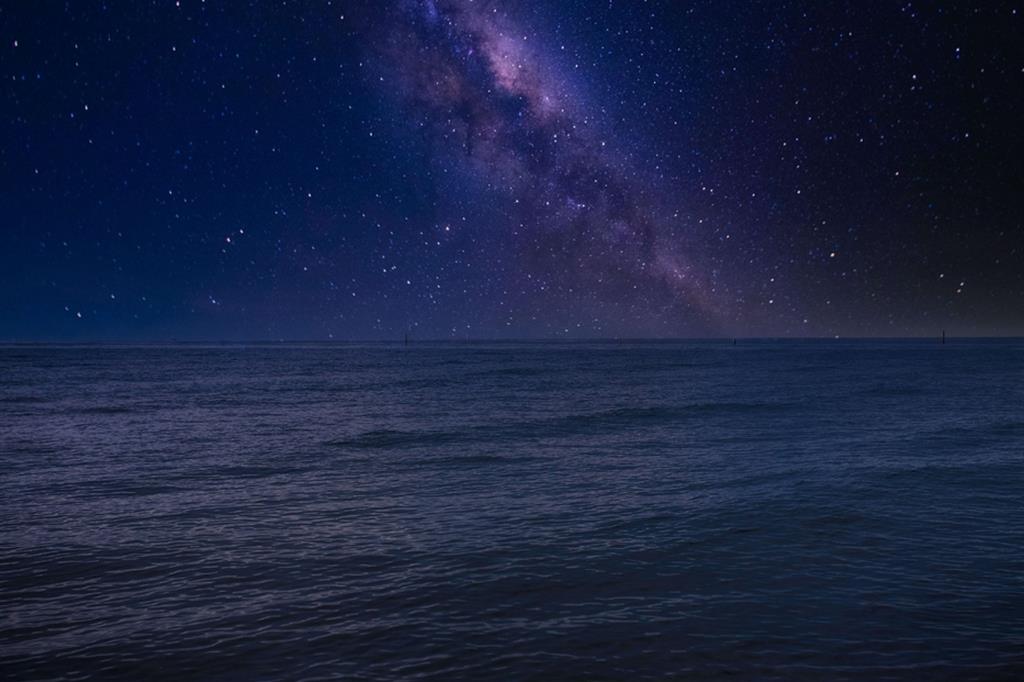 Patrick Connor Klopf / Unsplash
