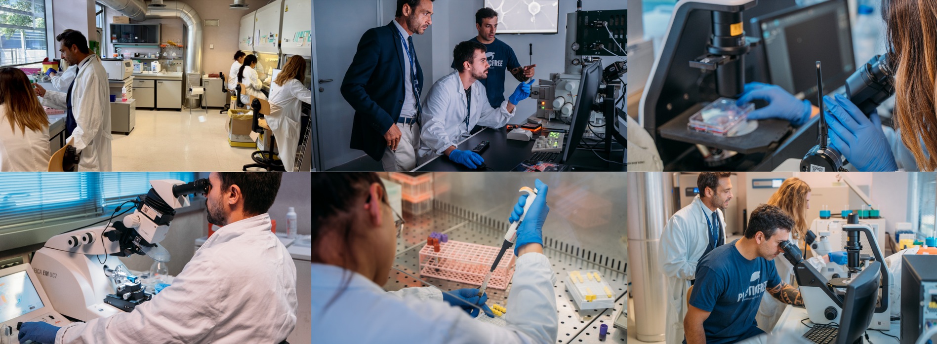 Ambiente: Al via “Un torrone per la ricerca” per sostenere gli studi sugli effetti delle nanoplastiche nel cervello