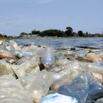 Giornata Mondiale della terra 2024: protocollo d’intesa tra Camera di Commercio del Molise e associazione Plastic free