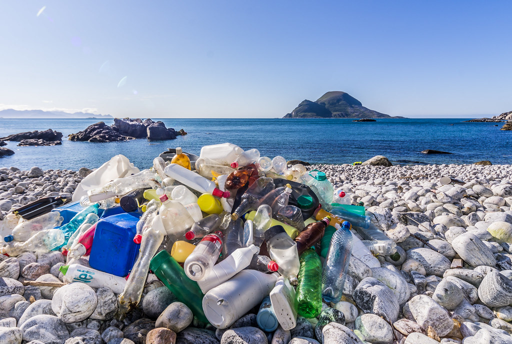 Oggi si celebra la Giornata mondiale degli Oceani
