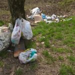 Ambiente: Pasquetta lascia rifiuti, l’Italia è sotto procedura Ue sulla plastica monouso. Plastic Free “serve una svolta”