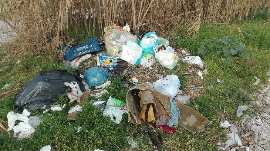 Giornata ecologica a Venafro, promossa da Città Nuova