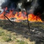 Terra dei fuochi, la Corte di Strasburgo condanna l’Italia