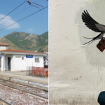 Murales di Cecilia Sala. Ricci: “Nessuna censura, nessuno sa chi è stato”