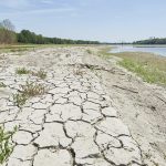 Emergenza. Il 2022 è l’anno più caldo di sempre. Danni all’agricoltura per sei miliardi