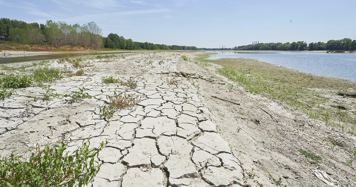 Emergenza. Il 2022 è l'anno più caldo di sempre. Danni all'agricoltura per sei miliardi