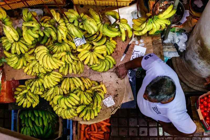 Tra etica e arte: cosa rivaluta 25 milioni di volte una banana?