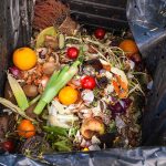 Lo spreco alimentare si combatte in mensa, a scuola come in azienda
