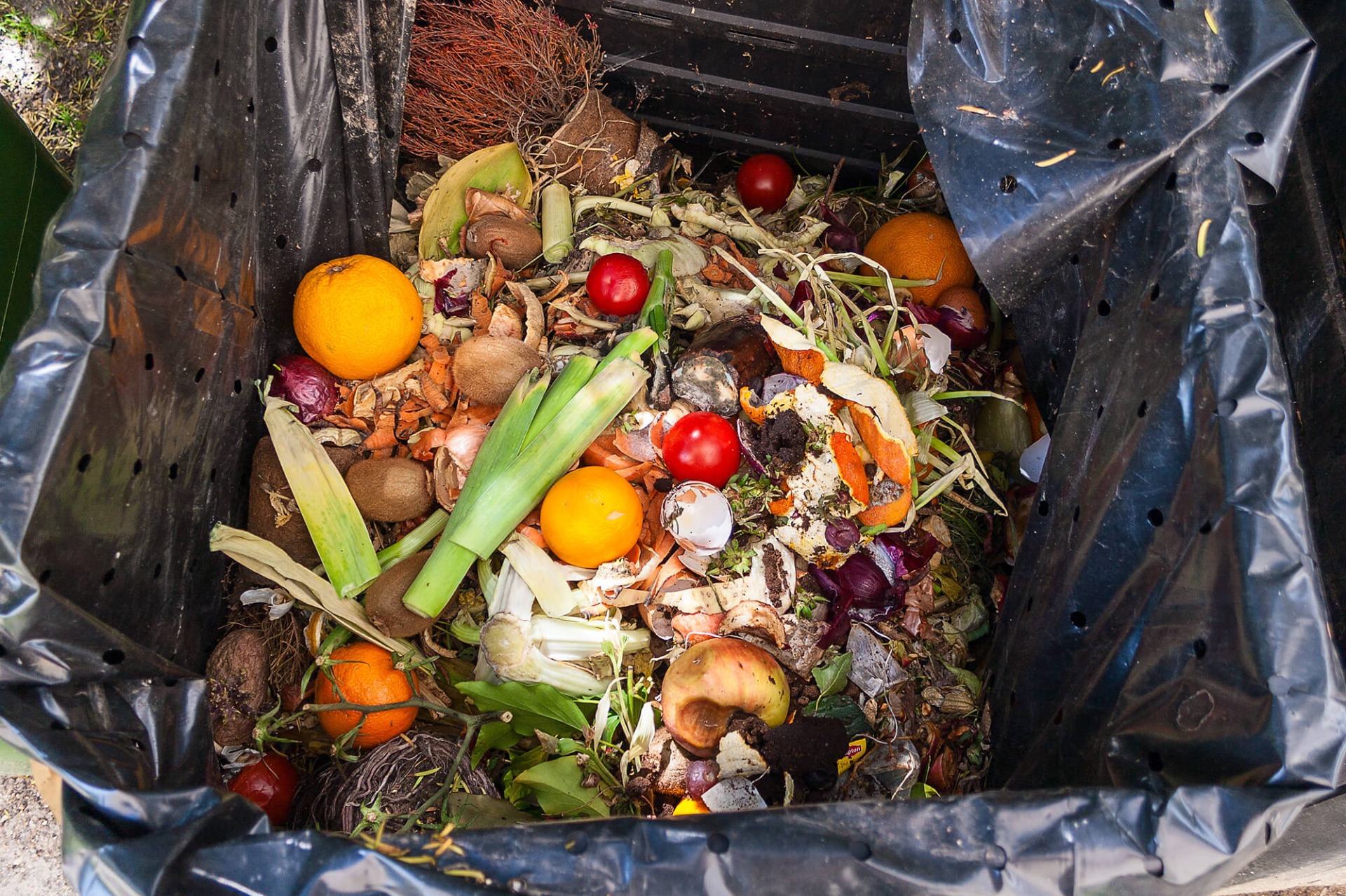 Lo spreco alimentare si combatte in mensa, a scuola come in azienda