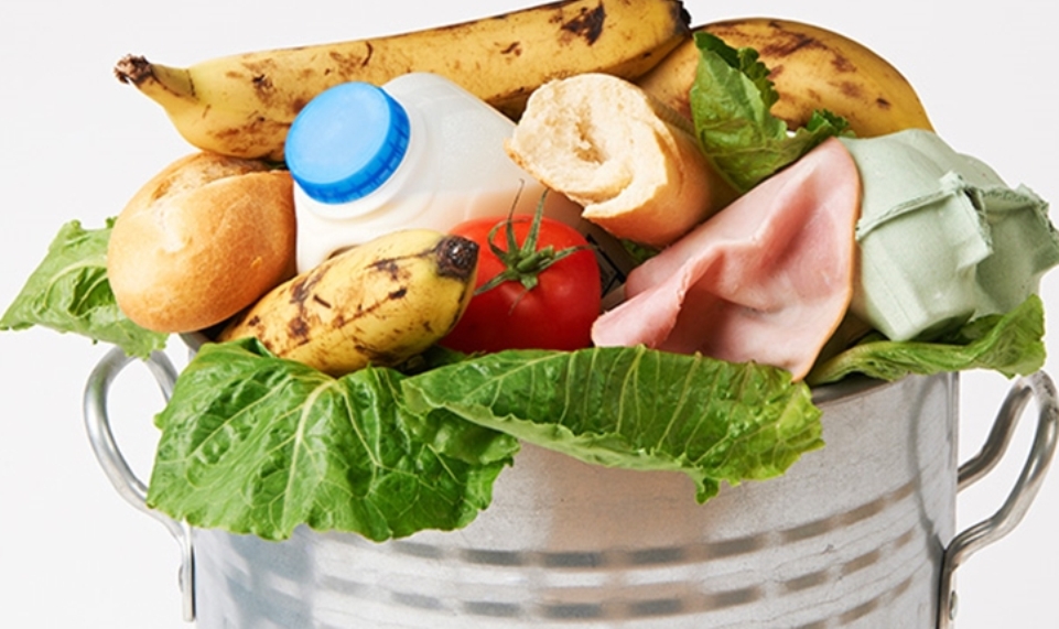La Giornata del 5 febbraio. Spreco alimentare: ecco tutte le App per recuperare il cibo