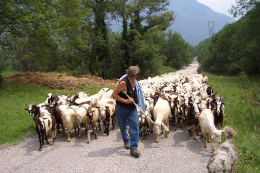 Convegno sulla pastorizia a Macchiagodena