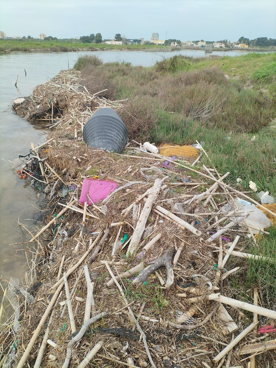 Molise: Domenica, volontari Plastic Free in azione per la tutela della Foce Varano sul Gargano