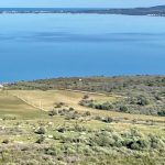 Molise: Domenica, volontari Plastic Free in azione per la tutela della Foce Varano sul Gargano