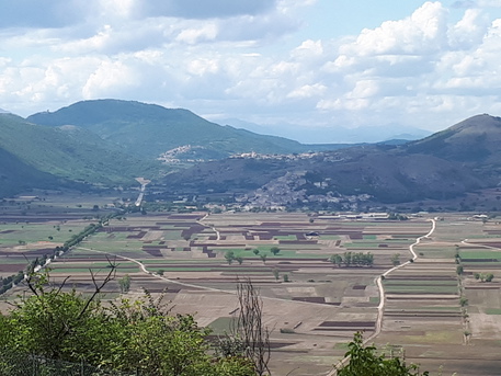 Fotovoltaico, Coldiretti Molise, 'sotto attacco Piana Venafro'