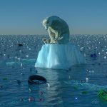 Il cambiamento climatico raccontato dai ragazzi del “Colozza”