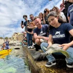 Ambiente: Domenica 14 giugno l’Italian Turtle Day, Plastic Free promuove liberazioni di tartarughe marine in contemporanea in tutta Italia