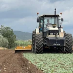 Il coraggio di restare scegliendo la terra